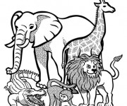 Coloriage Animaux Sauvages d'afrique vecteur