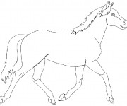 Coloriage Cheval qui galope