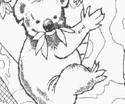 Coloriage Koala facile pour maternelle