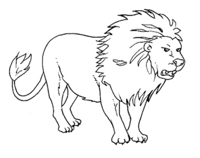 Coloriage et dessins gratuits Lion Roi de La forêt à imprimer