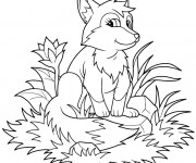 Coloriage Petit Renard en plein air