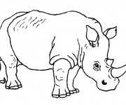 Coloriage Rhino à décorer