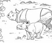 Coloriage Rhino et son petit