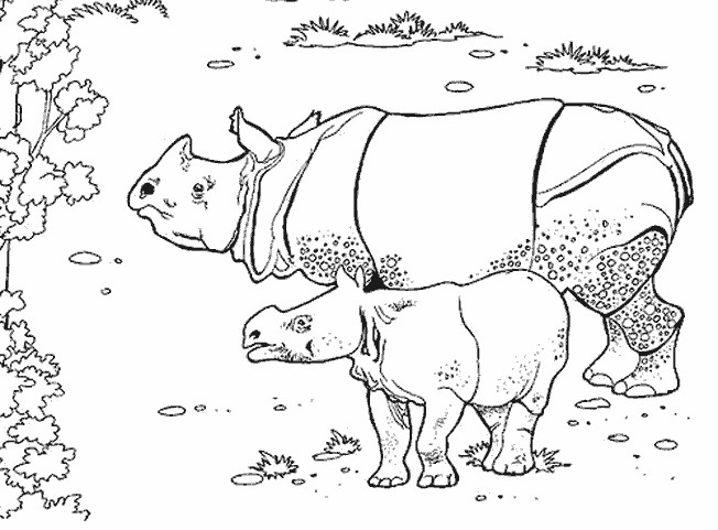 Coloriage Animaux Sauvages En Ligne