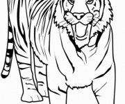 Coloriage et dessins gratuit Tigre Chasseur à imprimer