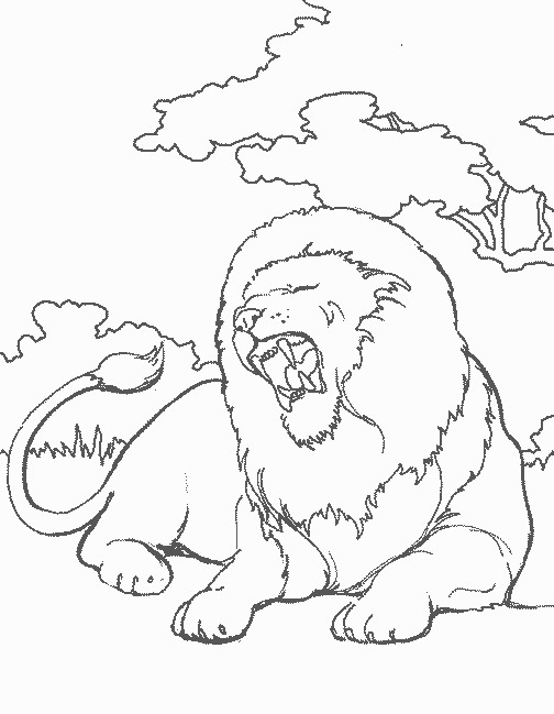 Coloriage et dessins gratuits Un Lion adulte à imprimer