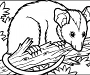 Coloriage Une Souris en couleur