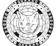 Coloriage Chaton Mandala dessin&eacute; avec des lignes noir et blanc