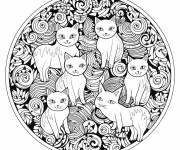 Coloriage Des chatons mignons au mandala difficile