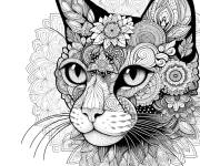 Coloriage Mandala adulte et portrait d'un chat