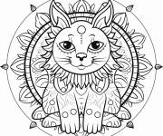 Coloriage Mandala de chat Ragdoll ludique