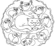 Coloriage Mandala de chat r&ecirc;vant