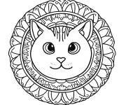 Coloriage T&ecirc;te de chat dr&ocirc;le en mandala