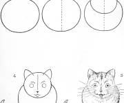 Coloriage Apprendre à dessiner un chat mignon étape par étape