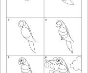 Coloriage Apprendre à dessiner un perroquet en six étapes