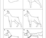 Coloriage Comment dessiner chien doberman facilement