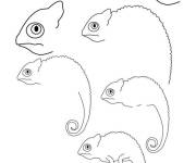 Coloriage Comment dessiner un cam&eacute;l&eacute;on maternelle