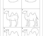 Coloriage Comment dessiner un chameau en 6 étapes