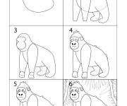 Coloriage Comment dessiner un gorille en 6 &eacute;tapes