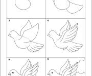 Coloriage Comment dessiner une colombe en 6 &eacute;tapes