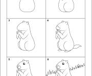 Coloriage Comment dessiner une marmotte &eacute;tape par &eacute;tape
