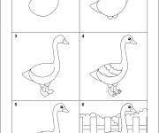Coloriage Comment dessiner une oie