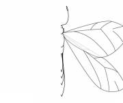 Coloriage termine dessiner l'insecte