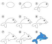 Coloriage et dessins gratuit Dessiner facilement le dauphin aves étapes à imprimer