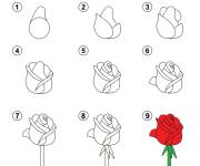 Coloriage Fleur dessin facile &eacute;tape par &eacute;tape