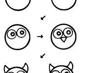 Coloriage Hibou facile