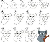 Coloriage koala facile à dessiner