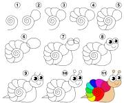 Coloriage Un escargot facile &agrave; r&eacute;aliser avec &eacute;tapes