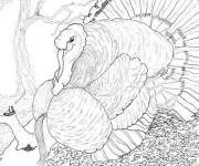 Coloriage dinde de noel dessin