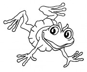 Coloriage et dessins gratuit Grenouille porte  jupe drôle à imprimer