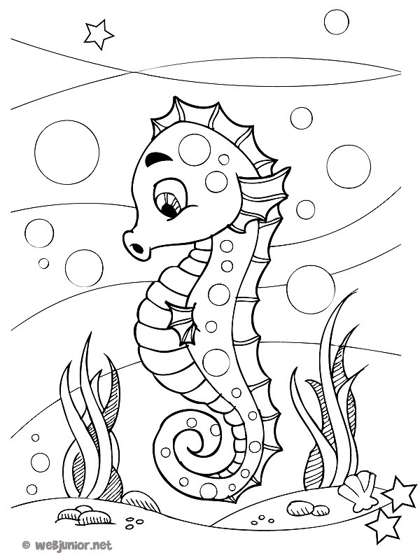 Coloriage Hippocampe Drôle Fond Marin Dessin Gratuit à Imprimer