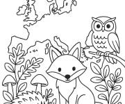 Coloriage Animaux d'Europe
