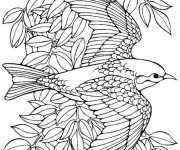 Coloriage Fantastique oiseau en vol