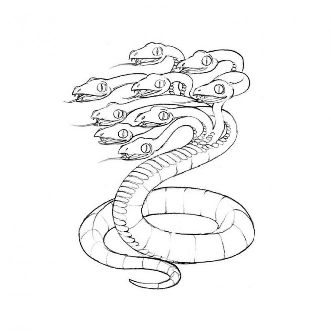 Coloriage Fantastique Serpent Imaginaire Dessin Gratuit à