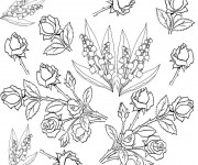 Coloriage Adulte Fleurs botanique