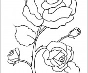 Coloriage Fleur Adulte à télécharger