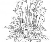 Coloriage et dessins gratuit Fleurs dans la nature à imprimer