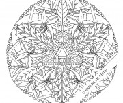 Coloriage Fleurs Mandala  adulte