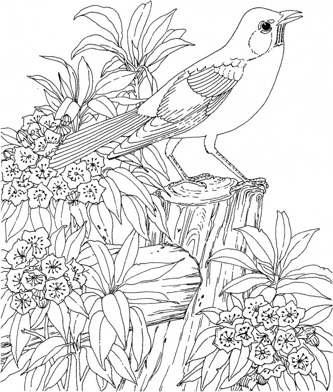 Coloriage et dessins gratuits paysage de Fleur et animaux adultes à imprimer