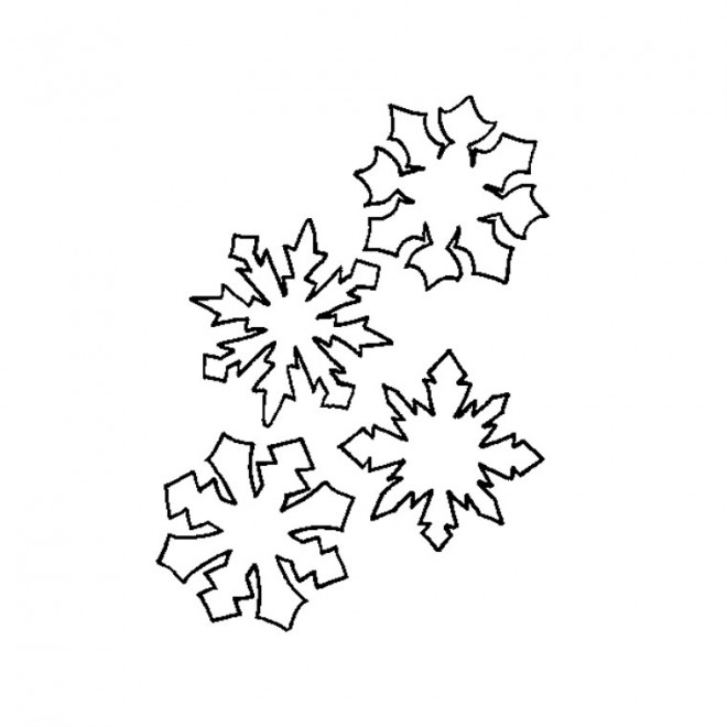 flocon de neige couleur
