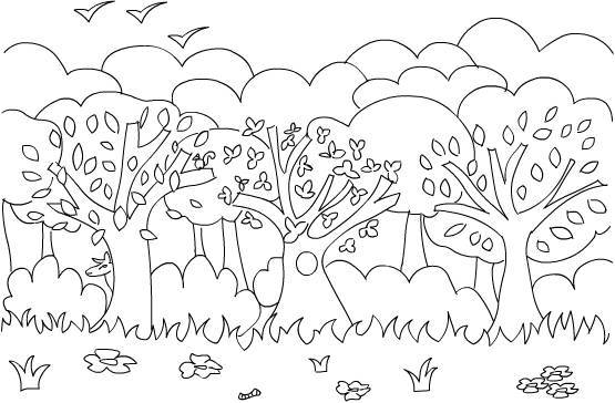 Coloriage Forêt d'arbres dessin gratuit à imprimer