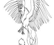 Coloriage Griffon magnifique pour adulte