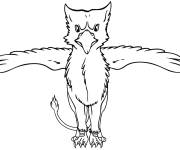Coloriage Petit griffon vue de face