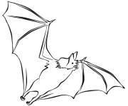 Coloriage chauve-souris adulte sortant la nuit en volant