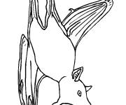 Coloriage et dessins gratuit Chauve-Souris de Halloween sur arbre à imprimer