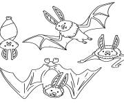 Coloriage Chauve-souris en diff&eacute;rente position